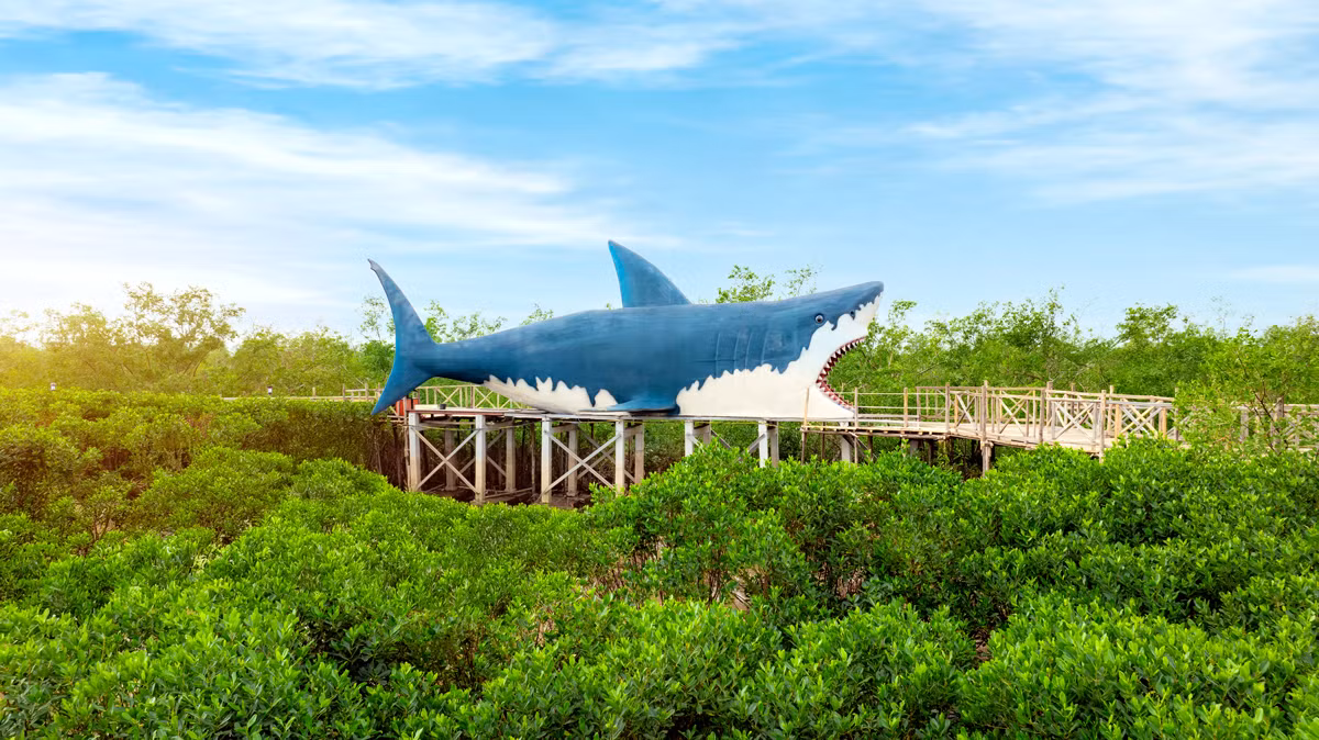 Công viên sinh thái trong rừng ngập mặn Dragon Mangrove Forest (nguồn Dragon Ocean Đồ Sơn) Công viên sinh thái trong rừng ngập mặn Dragon Mangrove Forest (nguồn Dragon Ocean Đồ Sơn)