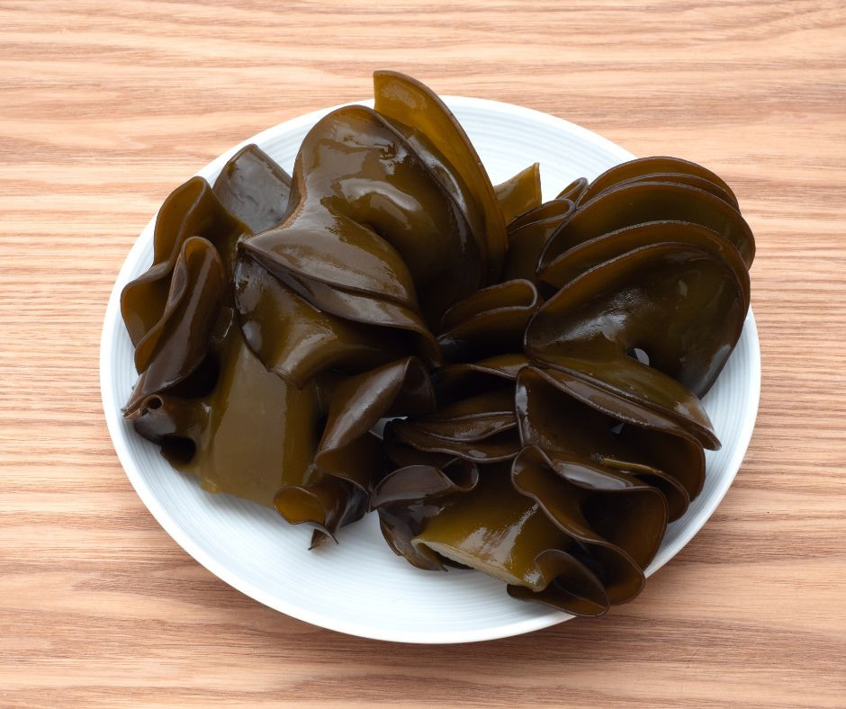Tảo nâu Wakame – nguồn mua canva