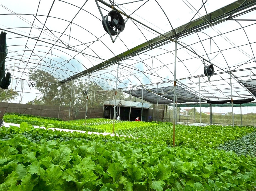 Agribank tiên phong thúc đẩy “xanh hóa” tín dụng Agribank tiên phong thúc đẩy “xanh hóa” tín dụng