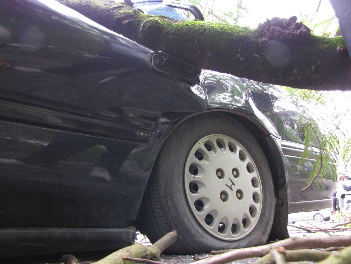 Anh Trần Văn Yên chưa hết bàng hoàng.