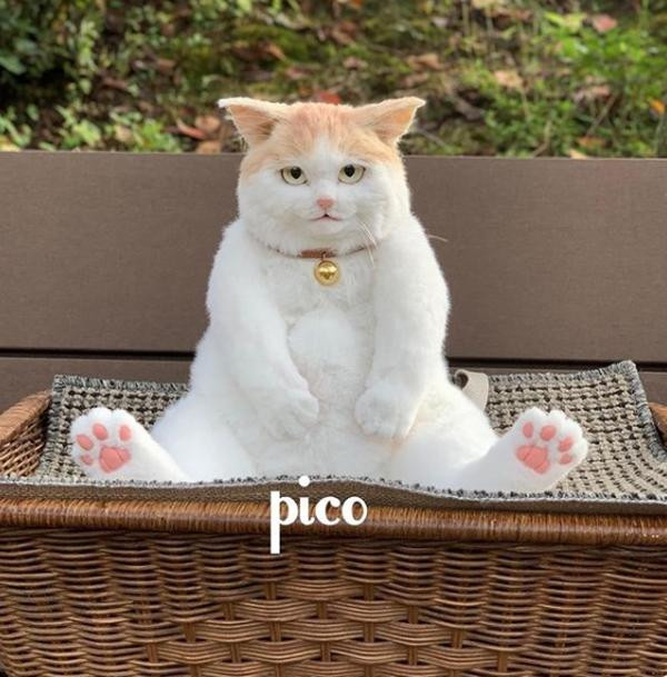 Quà trình tạo hình từng bước để cho ra đời một "bé" mèo bông hoàn chỉnh