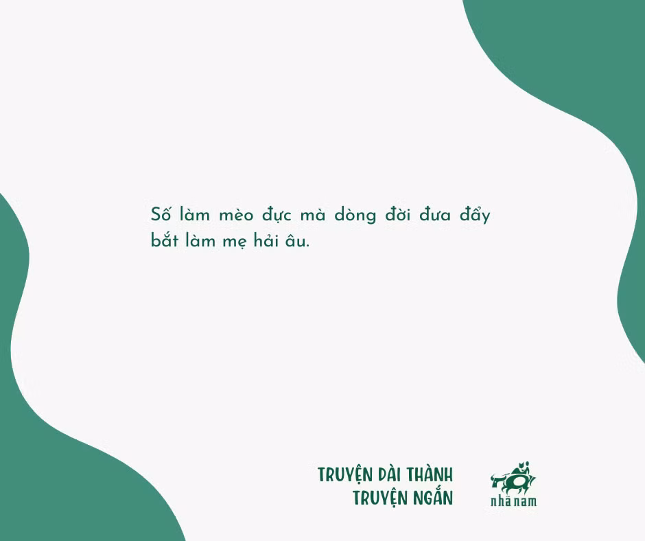 Tóm tắt truyện "Chuyện con mèo dạy hải âu bay" đạt giải Khuyến khích cuộc thi.