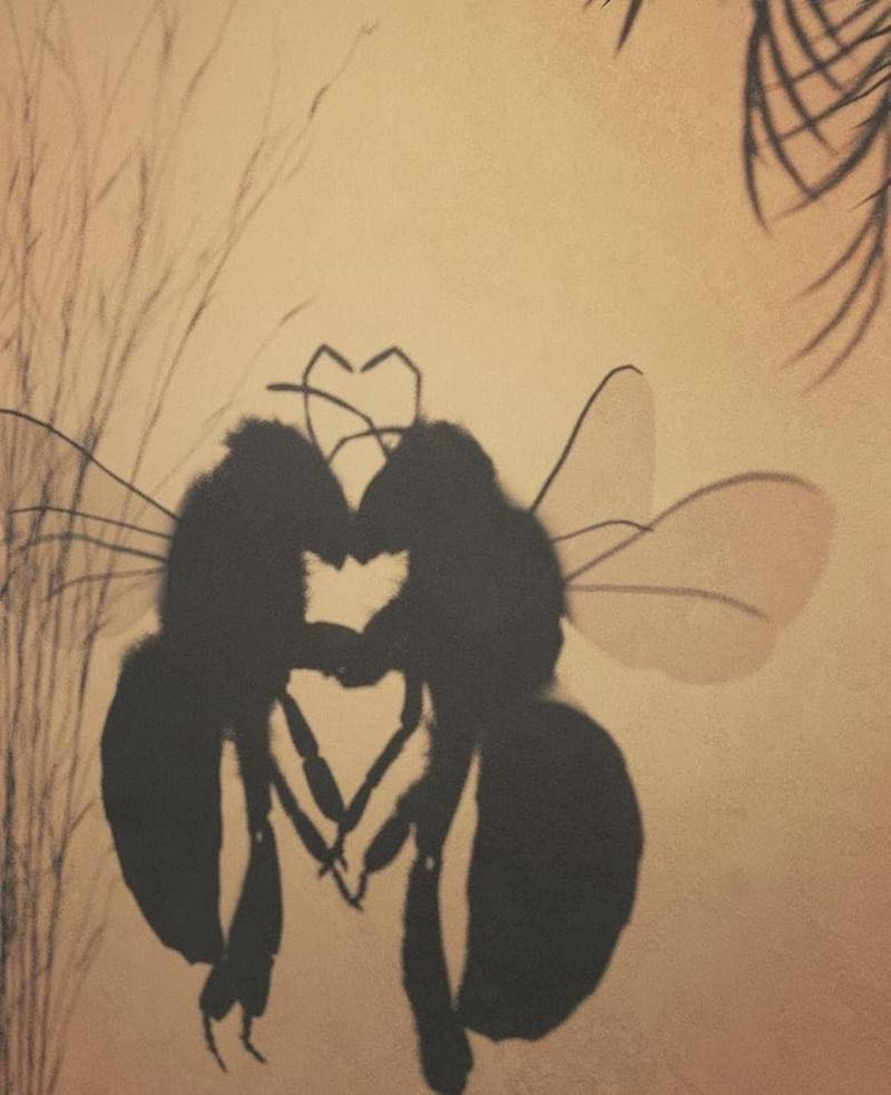 Sự biến mất của loài ong có thể gây ảnh hưởng đến nền sản xuất nông nghiệp