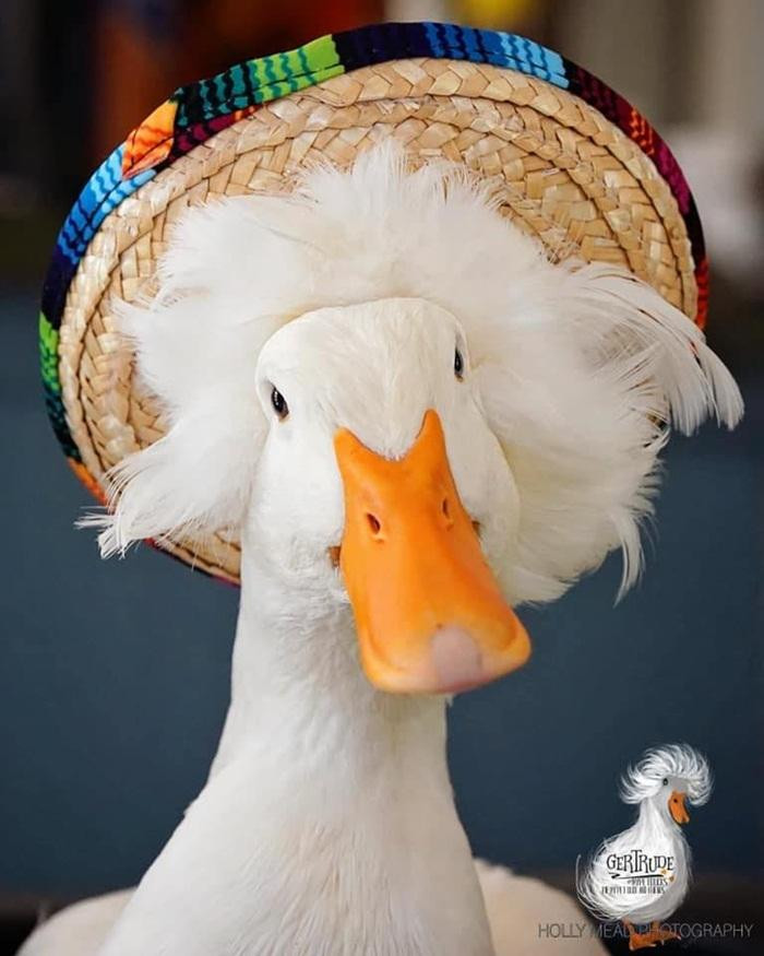 Gertrude trở nên nổi tiếng nhờ một bức ảnh, được lên tạp chí và còn đóng cả quảng cáo. Gertrude trở nên nổi tiếng nhờ một bức ảnh, được lên tạp chí và còn đóng cả quảng cáo.