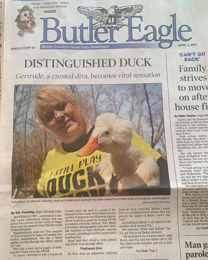 Gertrude và bà chủ từng xuất hiện trên báo. Gertrude và bà chủ từng xuất hiện trên báo.