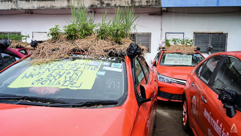 Nóc của những chiếc xe taxi do Ratchapruek quản lý ở bãi đậu trên đường Bang Waek đã biến thành những vườn rau bất đắc dĩ (Ảnh: Pichayada Promchertchoo)