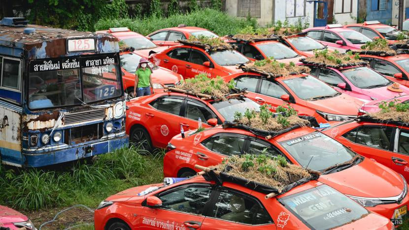 Khi những chiếc xe taxi không thể lăn bánh, kéo theo đó là những khoản nợ đặt lên vai cấp quản lý cũng như nhân viên, tài xế. (Ảnh: Pichayada Promchertchoo)