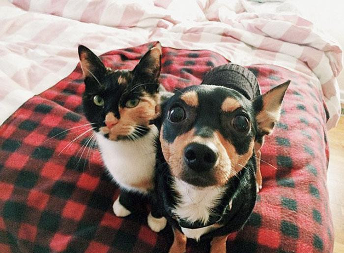 Anh em tớ cũng giống nhau đấy chứ.