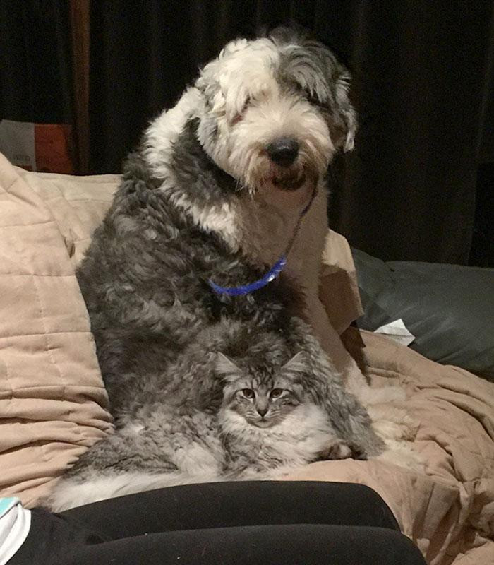 Anh em tui cũng giống nhau mấy phần, mấy bạn thấy vậy không?