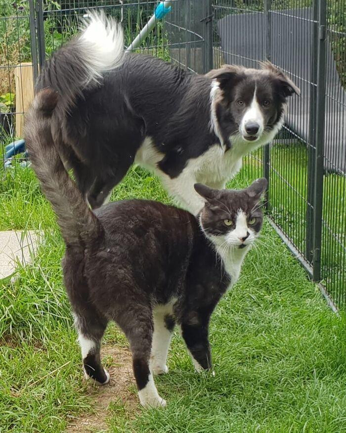 Trong hai anh em tui, ai đẹp trai hơn?