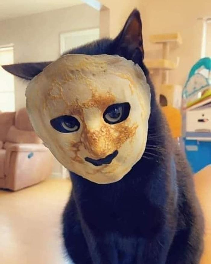 Giờ xem em đã đủ nguy hiểm chưa? Giờ xem em đã đủ nguy hiểm chưa?