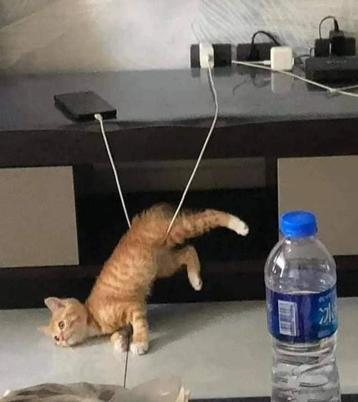 Tai nạn nghề nghiệp. Tai nạn nghề nghiệp.