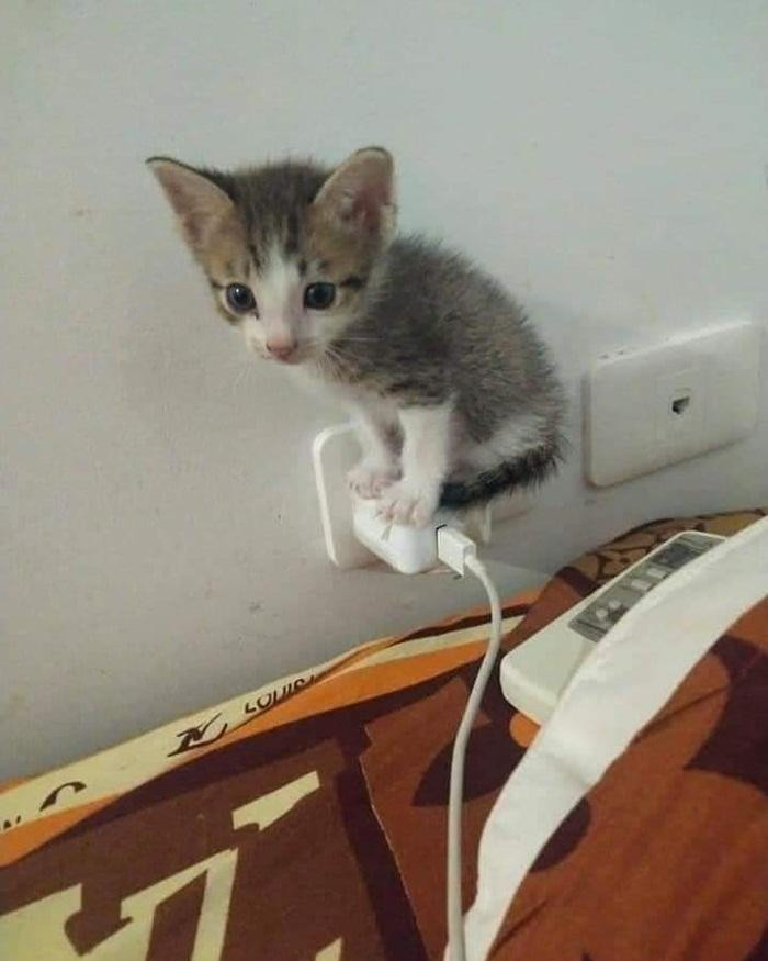 Em nhẹ cân í mà, thử đu vài nhịp xem sao. Em nhẹ cân í mà, thử đu vài nhịp xem sao.