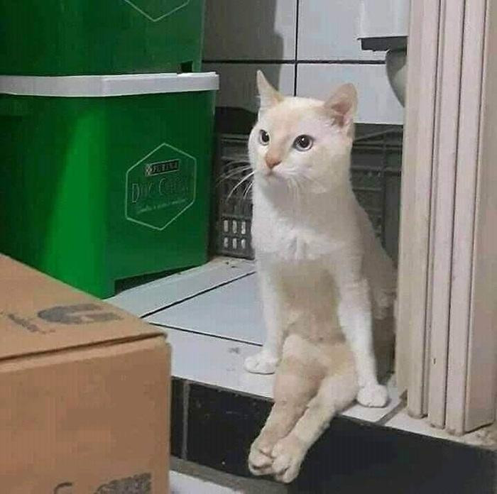 Em ngồi đây từ sáng tới giờ, chưa thấy mặt mũi "sen" đâu. Anh chị nào thấy, báo em nhê! Em ngồi đây từ sáng tới giờ, chưa thấy mặt mũi "sen" đâu. Anh chị nào thấy, báo em nhê!