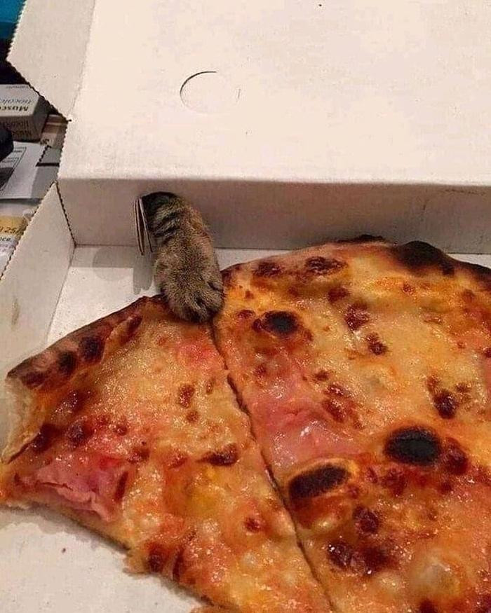 Mua bánh mà không thèm mời, nhưng trước sau gì vẫn phải chia cho em thôi. Mua bánh mà không thèm mời, nhưng trước sau gì vẫn phải chia cho em thôi.