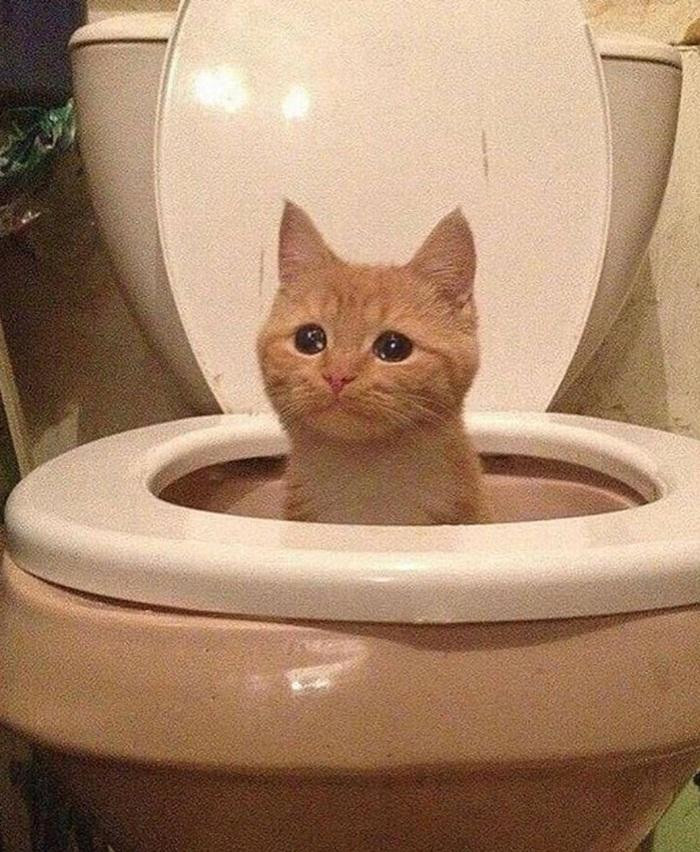 Huhu, em bị trượt chân. Huhu, em bị trượt chân.