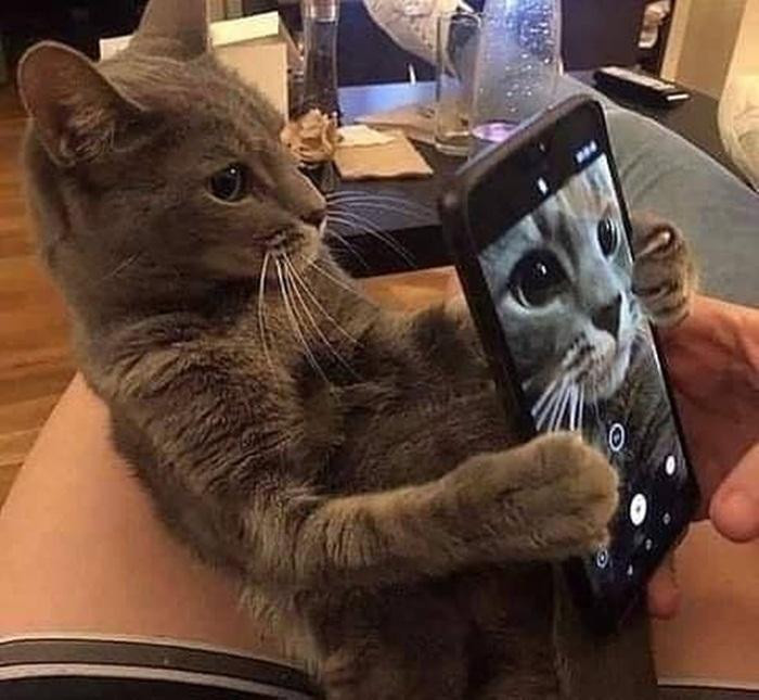 Tự chụp bằng camera chính mới siêu. Tự chụp bằng camera chính mới siêu.