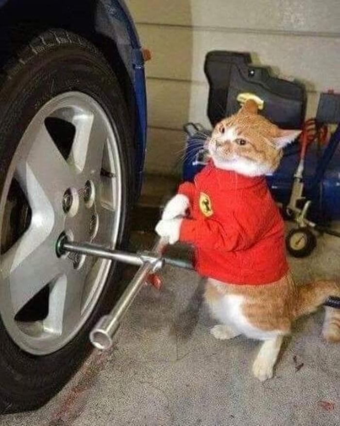 Xe của "sen" hỏng, em bảo cứ ngồi nguyên đấy, để em ra tay. Xe của "sen" hỏng, em bảo cứ ngồi nguyên đấy, để em ra tay.