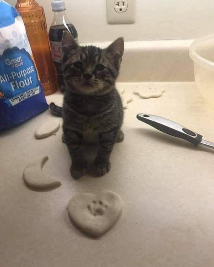 Giấu chân in khắp nơi nơi, đảm bảo bánh này nướng xong, "sen" phải dành riêng cho em. Giấu chân in khắp nơi nơi, đảm bảo bánh này nướng xong, "sen" phải dành riêng cho em.