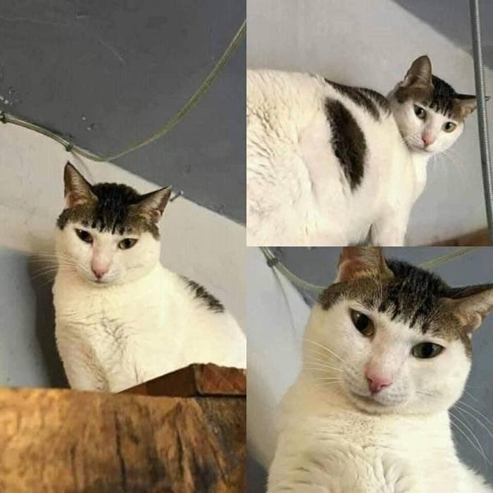 "Sen" cắt tóc cho em xong, em chẳng dám ra khỏi nhà luôn. "Sen" cắt tóc cho em xong, em chẳng dám ra khỏi nhà luôn.