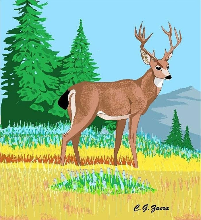 Cụ Concha bắt đầu sự nghiệp vẽ tranh trên Paint cách đây hơn mười năm, sau khi trải qua quãng thời gian buồn bã khi người chồng qua đời.