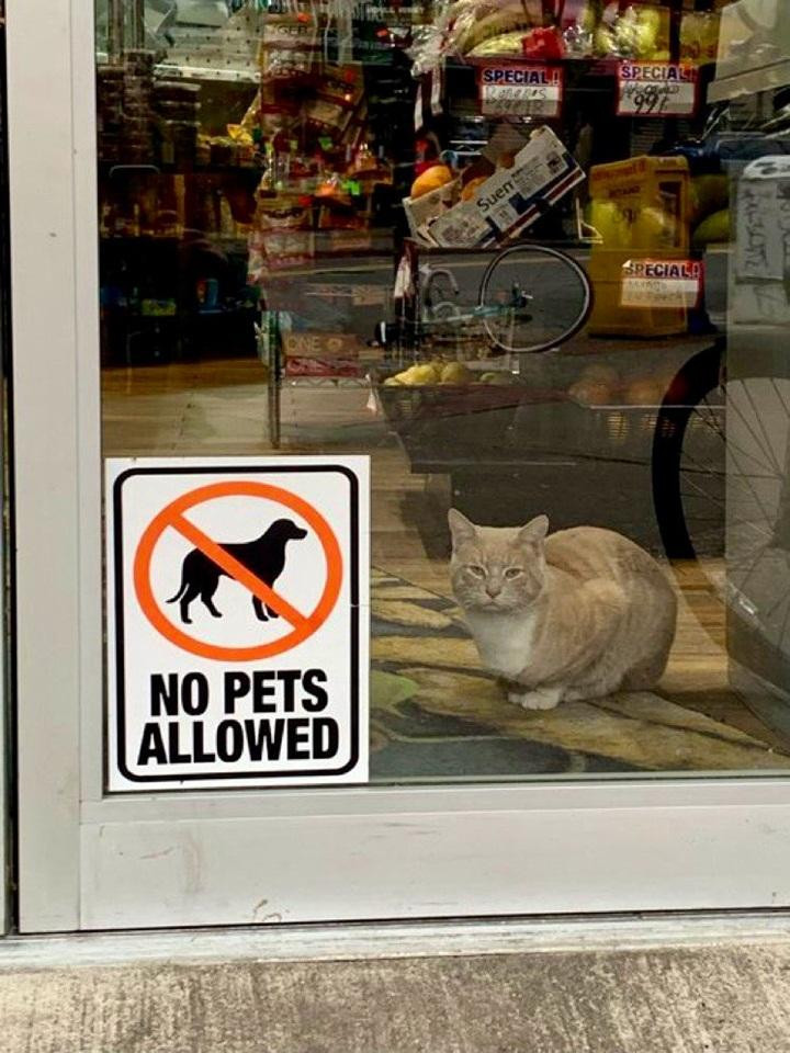 Rõ ràng có gì đó sai sai với tấm biển cấm này.