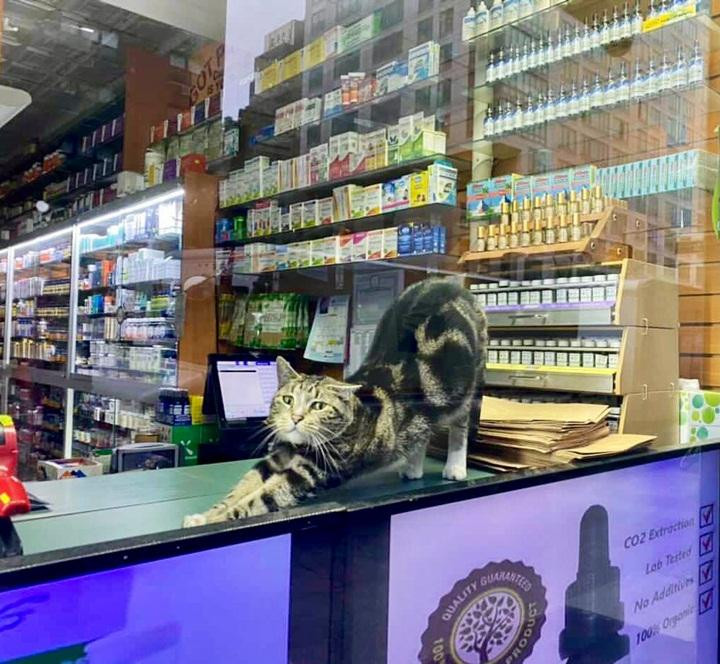 Tranh thủ vắng khách, phải tập ngay vài động tác yoga