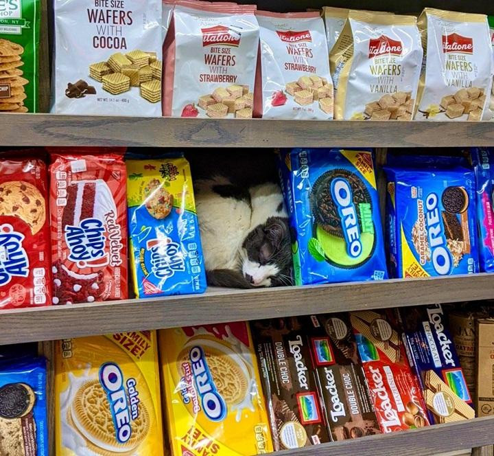 Tranh thủ ngủ trưa một tí, chút còn đi làm ca chiều