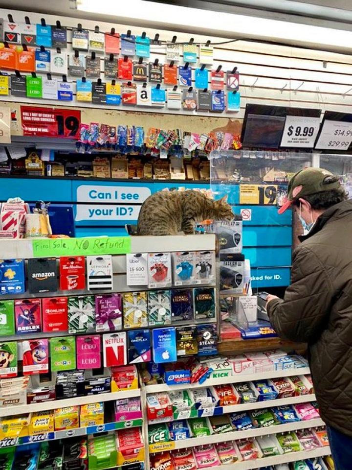 Chăm sóc khách nhiệt tình tới tận phút chót