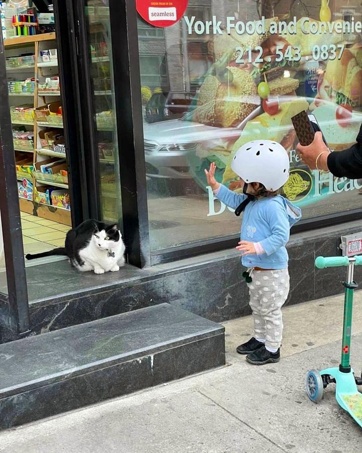 Được giao đón khách, nhưng "chảnh" quen rồi nên chưa niềm nở lắm!