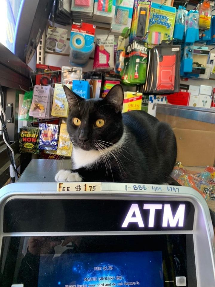 Mấy anh chị muốn rút tiền, trước tiên phải hỏi qua em!