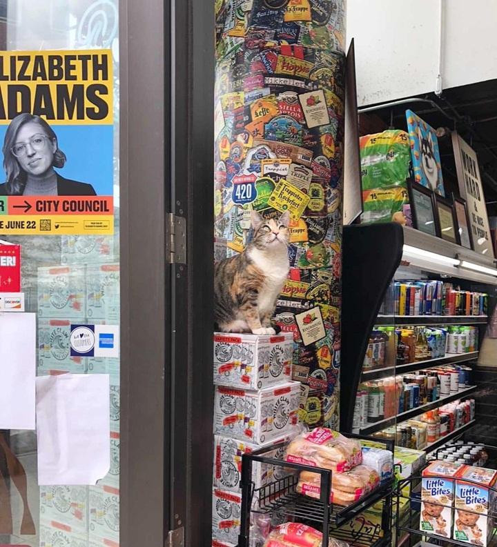 Em đứng đây từ chiều, các anh, các chị đi qua, nhớ ghé tiệm nhà em nhé!