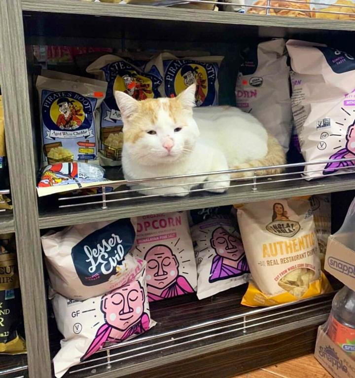 Mấy giờ đóng cửa tiệm nhỉ? Em buồn ngủ quá rồi!