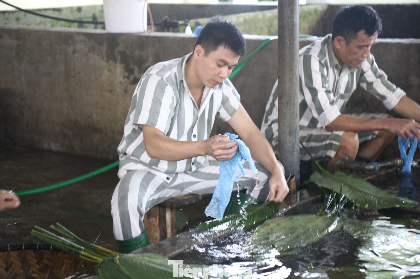 "Các giám thị biết tôi buồn nên cũng động viên tinh thần nhiều lắm, sắp xếp cho ra hỗ trợ gói bánh chưng để bớt nhớ nhà. Các giám thị cũng khuyên tôi là cứ cải tạo thật tốt, sẽ sớm được về nhà đón Tết với vợ con và các cháu” - phạm nhân Nhất hi vọng sớm được đoàn tụ, quây quần cùng gia đình bên nồi bánh chưng ngày Tết. "Các giám thị biết tôi buồn nên cũng động viên tinh thần nhiều lắm, sắp xếp cho ra hỗ trợ gói bánh chưng để bớt nhớ nhà. Các giám thị cũng khuyên tôi là cứ cải tạo thật tốt, sẽ sớm được về nhà đón Tết với vợ con và các cháu” - phạm nhân Nhất hi vọng sớm được đoàn tụ, quây quần cùng gia đình bên nồi bánh chưng ngày Tết.