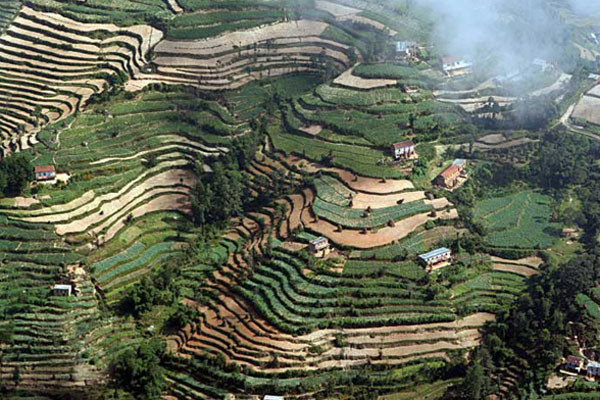 Ruộng bậc thang ở Nepal