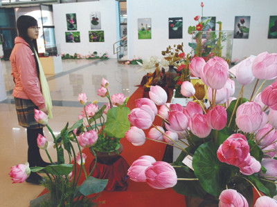 Gian trưng bày tôn vinh hoa sen tại Trung tâm Triển lãm VHNT. Ảnh: Xuân Phú. Gian trưng bày tôn vinh hoa sen tại Trung tâm Triển lãm VHNT Ảnh: Xuân Phú