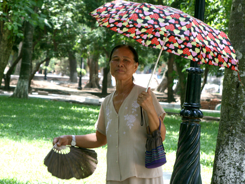 Mệt mỏi vì nắng nóng ảnh 5