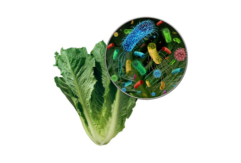 Mưa lớn kèm theo lũ lụt có thể khiến cây trồng và rau bị nhiễm khuẩn (ảnh Internet). Mưa lớn kèm theo lũ lụt có thể khiến cây trồng và rau bị nhiễm khuẩn (ảnh Internet).