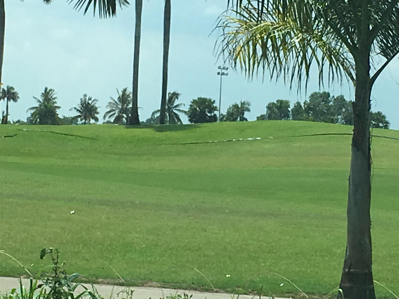 Sân golf Đại Phước