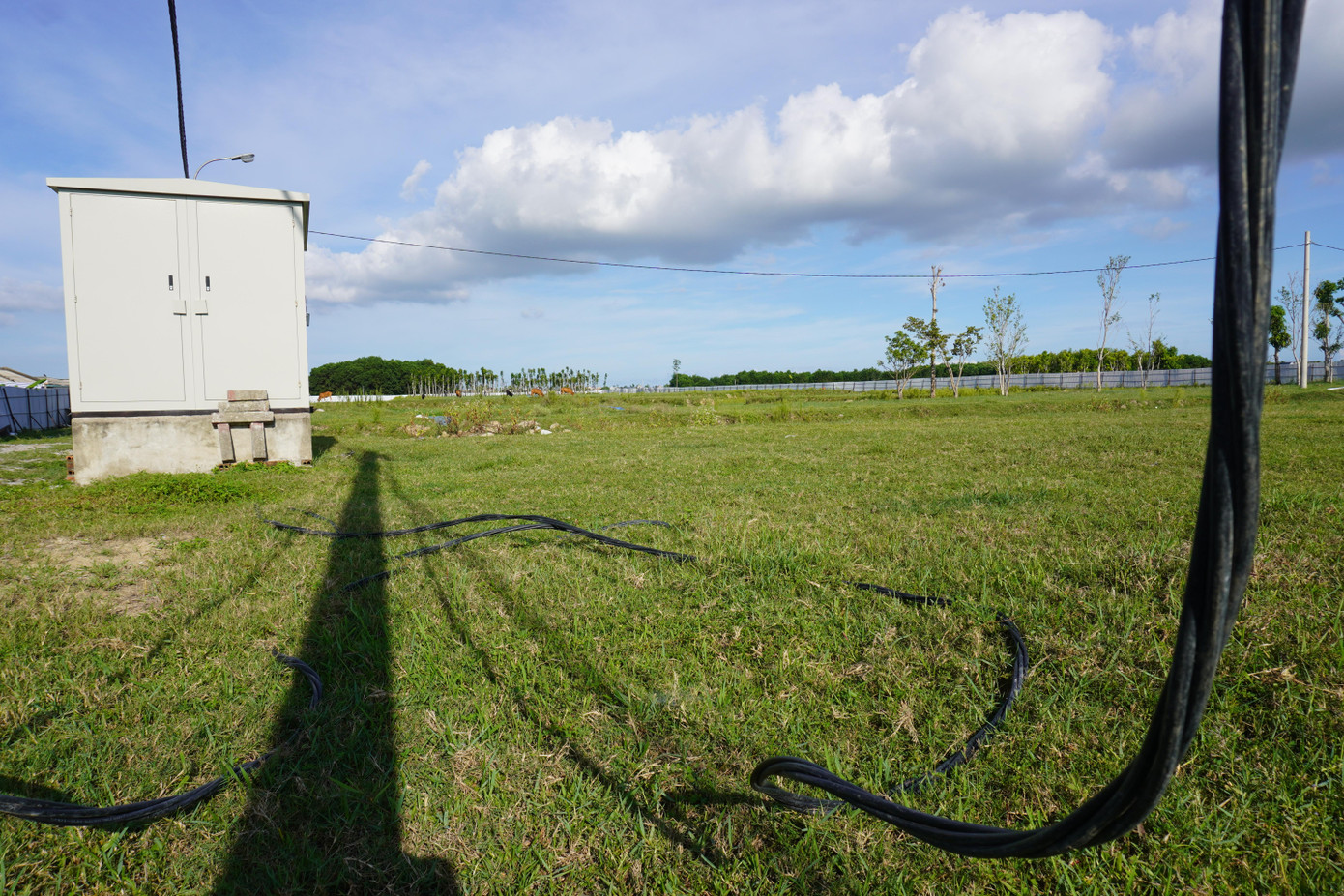 Bên trong dự án cỏ mọc đầy