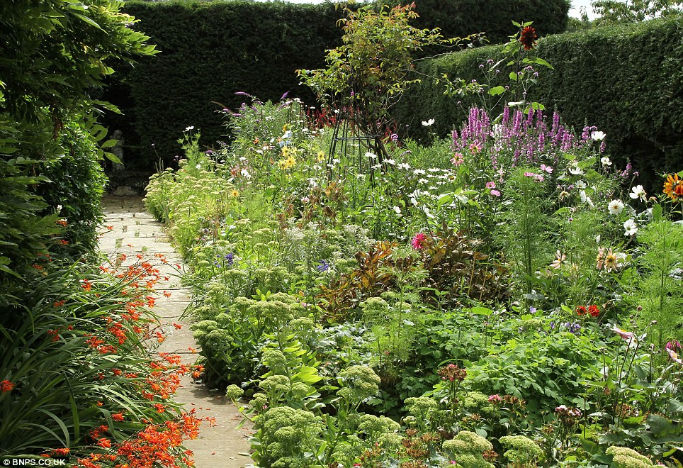 Những lối đi nhỏ ra vườn được trồng rất nhiều hoa thường thấy ở vùng nông thôn