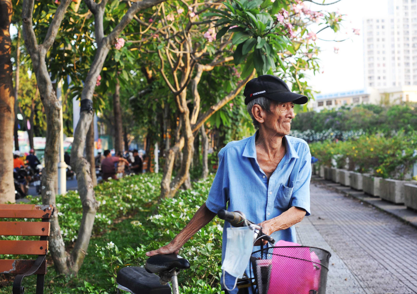 Nhiều người cũng tìm tới hàng cây để đọc sách, vãn cảnh