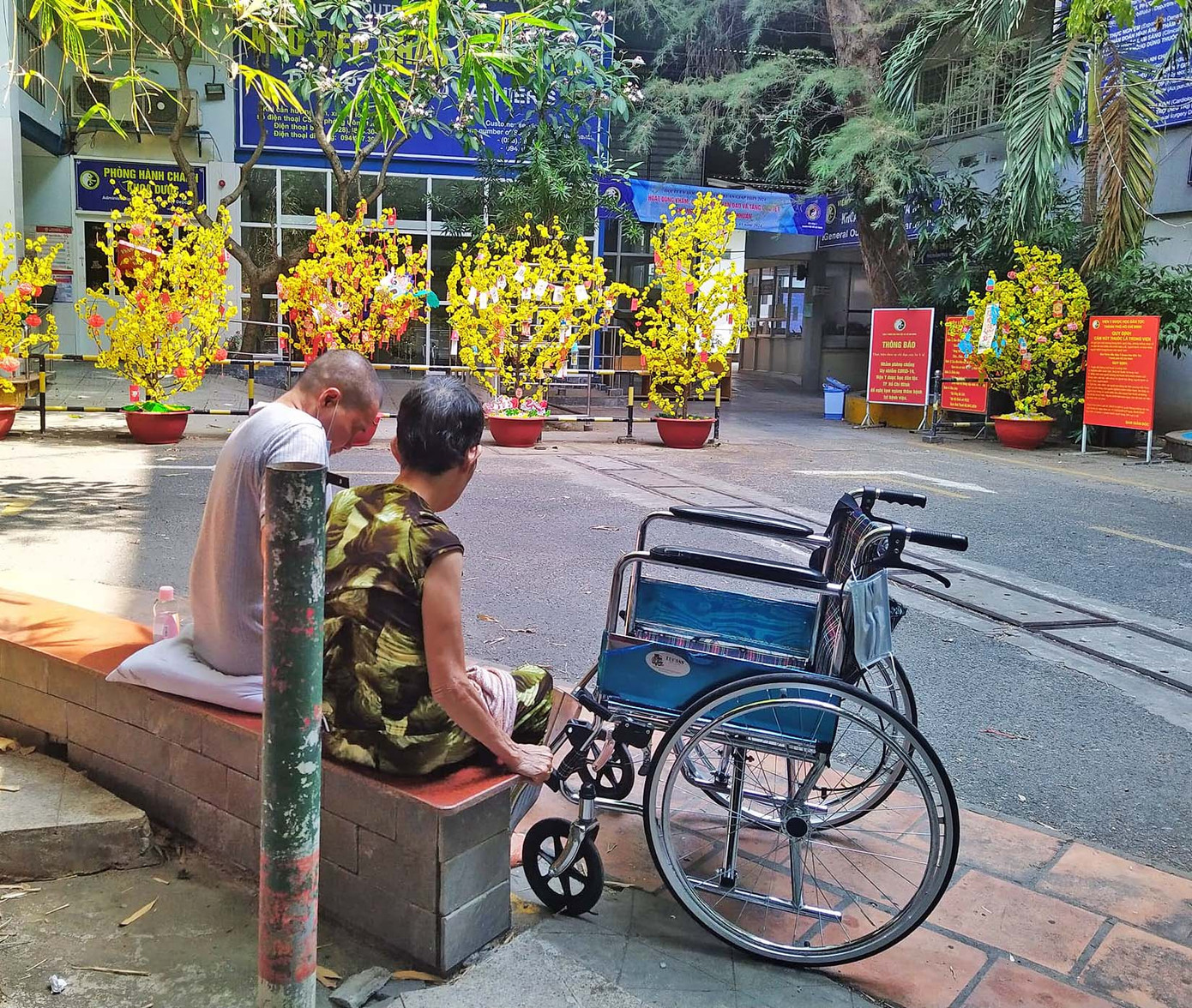 Các bệnh nhân và gia đình cho biết khung cảnh mùa xuân trong bệnh viện như tiếp thêm sức sống và động lực để người bệnh mau chóng phục hồi.