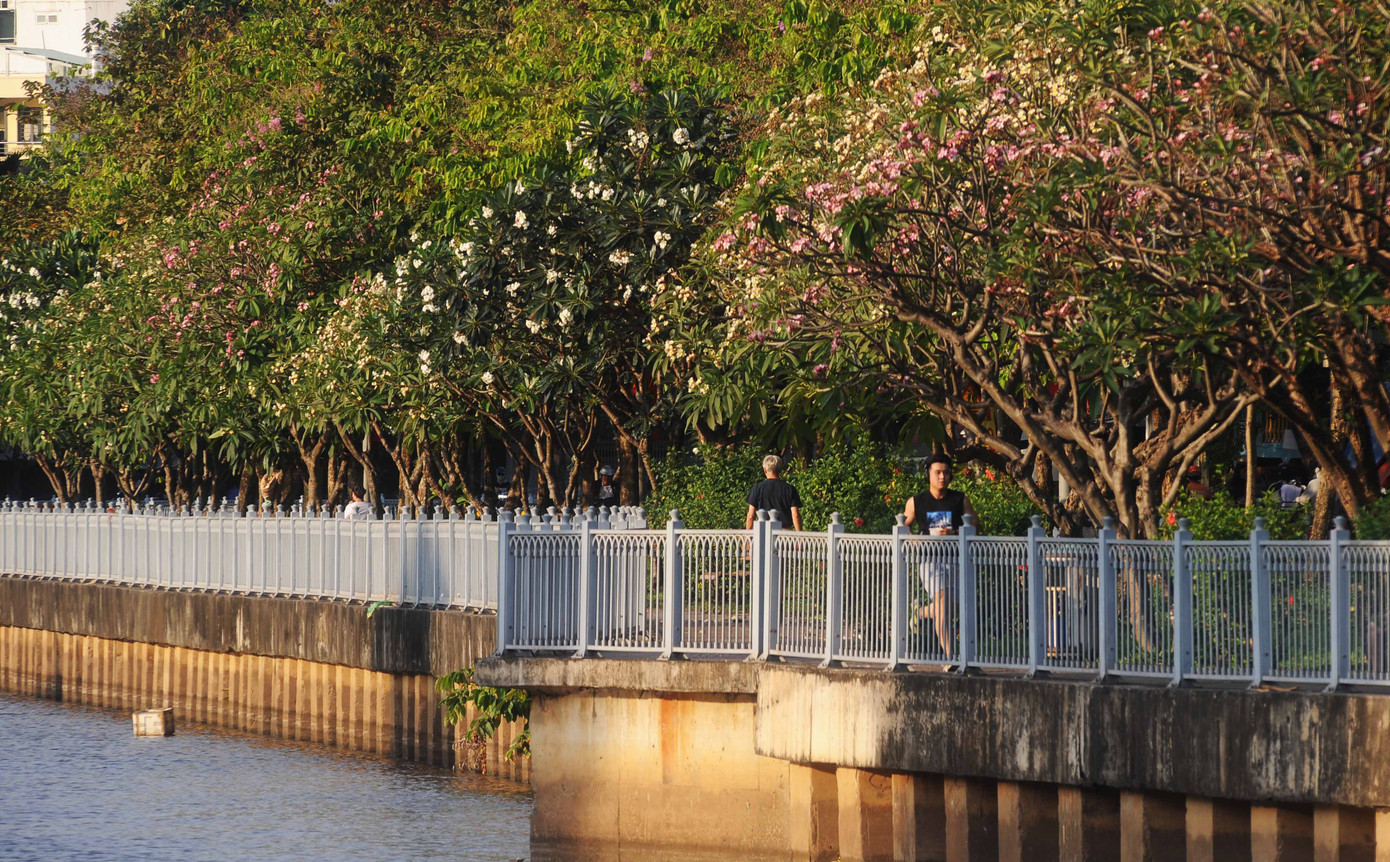Hàng ngàn người dân chạy và đi bộ thể dục.