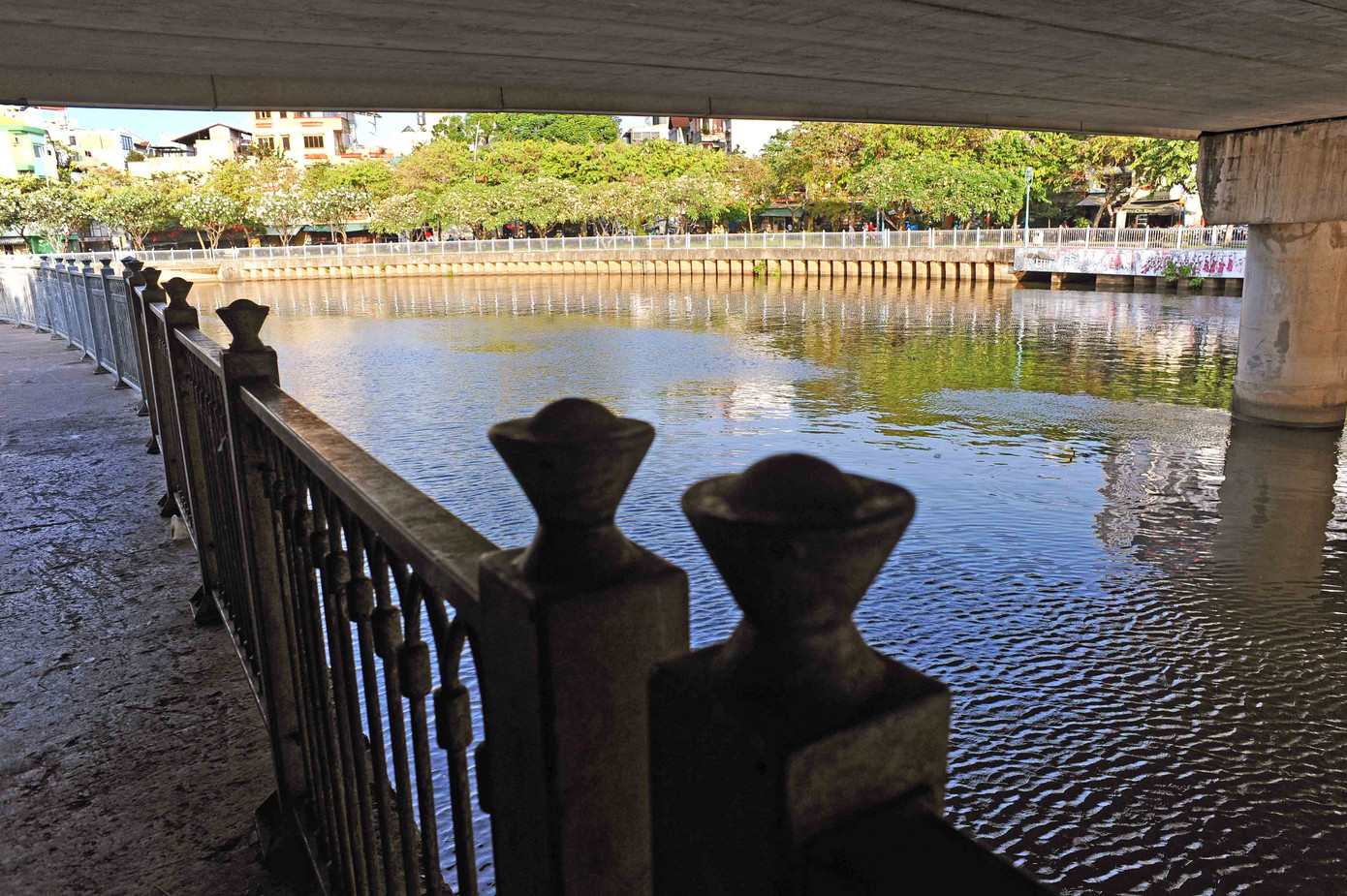 Sau nhiều ngày chờ đợi, hoa sứ đã tràn ngập hai bên dòng kênh.