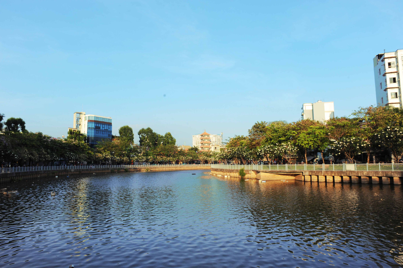 Dòng kênh được xử lý ô nhiễm, nước dưới kênh gần như 100% là nước mưa tạo ra màu sắc xanh biếc hòa với màu hoa xuân