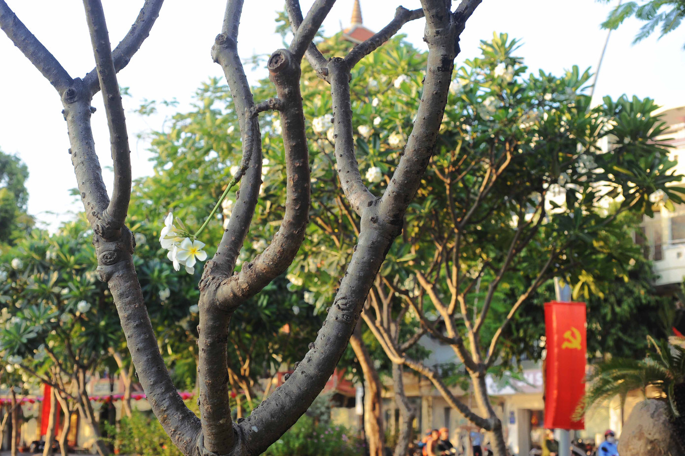 Dọc kênh có nhiều công trình văn hóa như chùa chiền, nhà thờ, trường học...