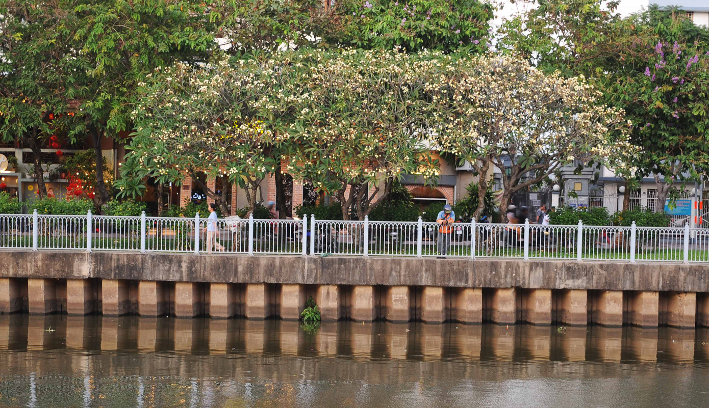 Hoa có nhiều màu như tím, trắng, vàng với hương thơm lan tỏa.