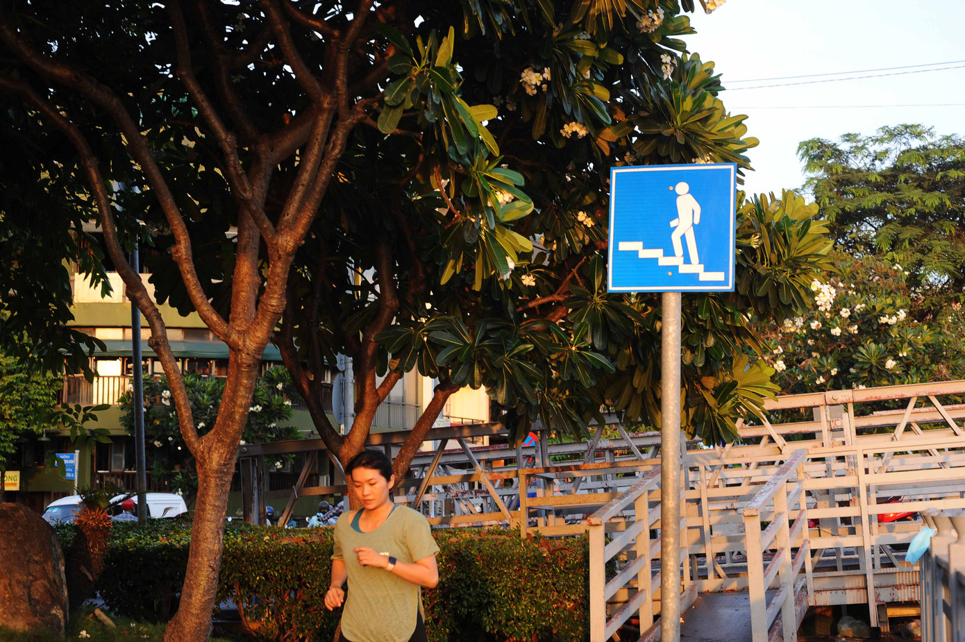 Hoa đã nở quanh cầu sắt bắc qua kênh.