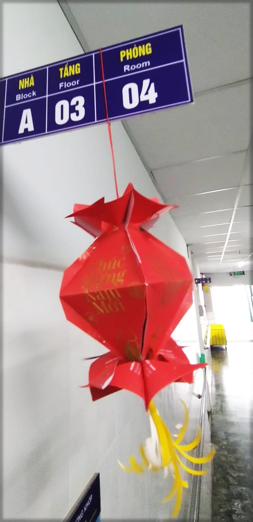 Sắc xuân tràn đến tận từng phòng bệnh